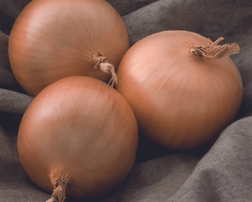 Patterson Hybrid Onion Plants | Ships Separately