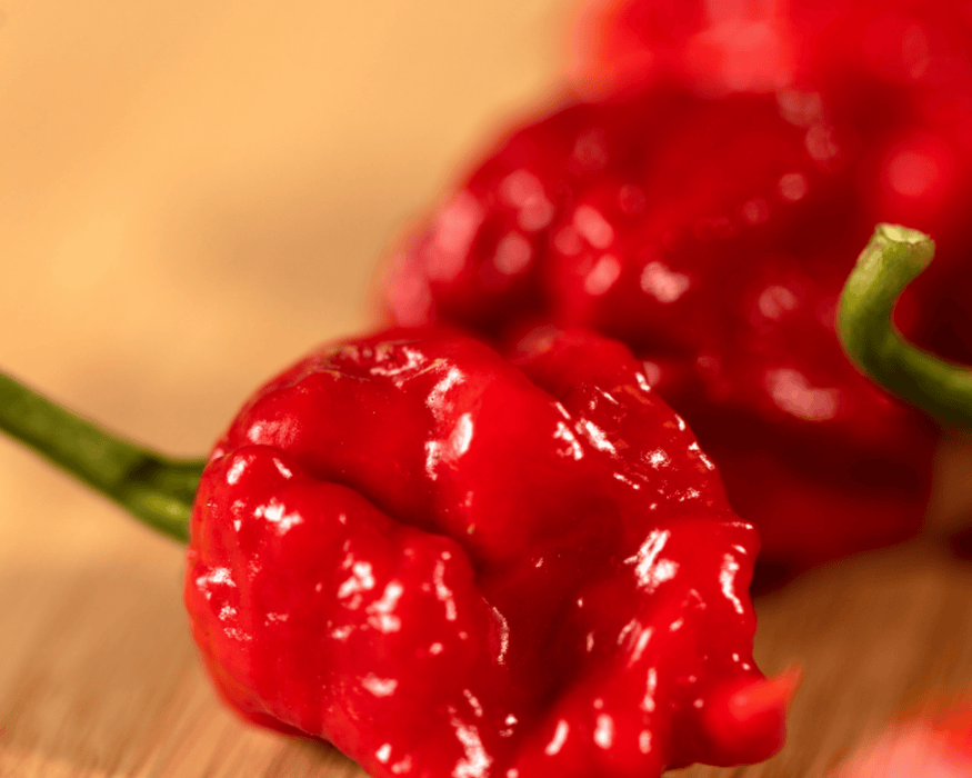 Bulk: Carolina Reaper Super-Hot Pepper Seeds