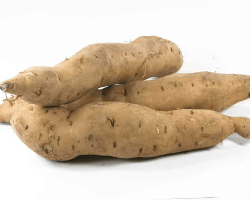 White Yam Sweet Potato Plants | Ships Separately