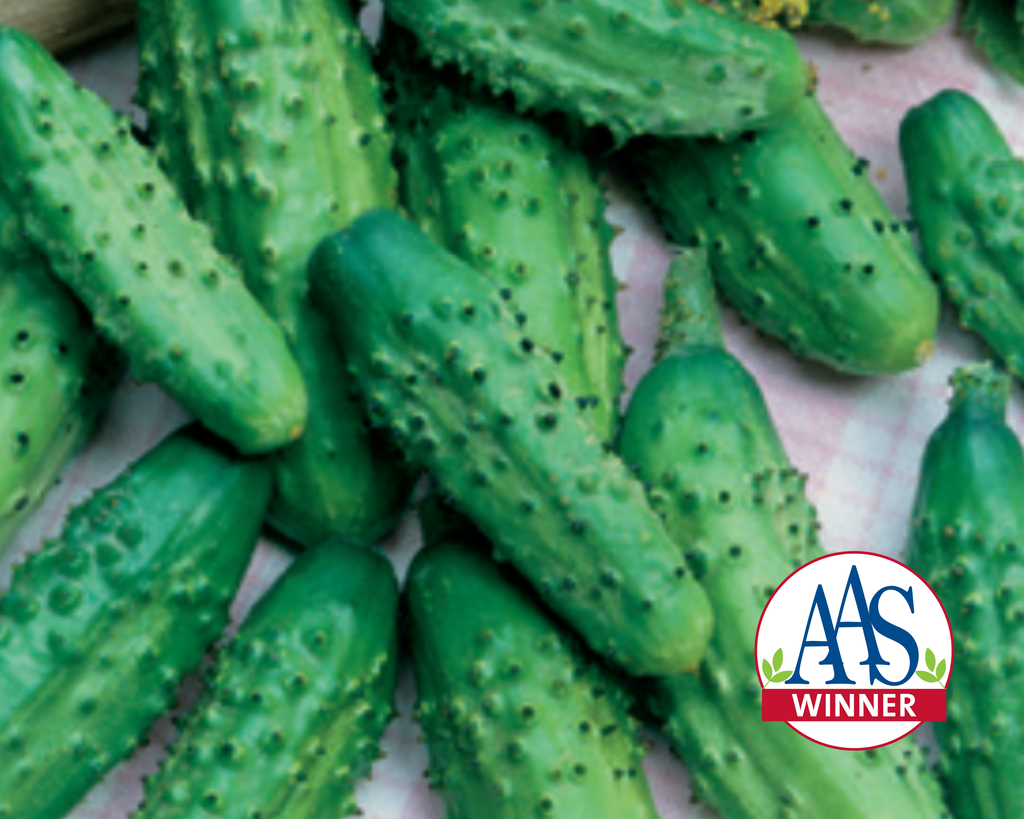 Seeds 'n Such AwardWinning, NonGMO Seeds... 'n Such!