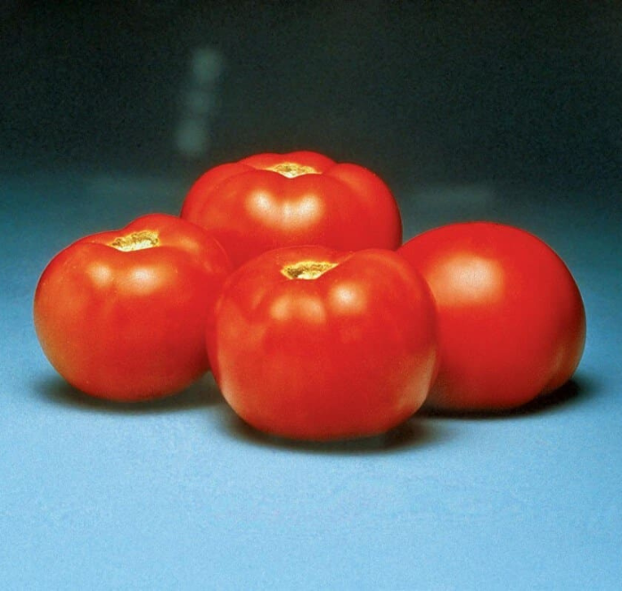 Bulk: Better Bush Hybrid Tomato Seeds