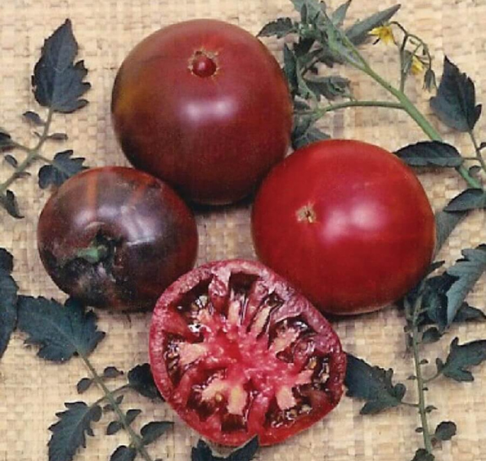 Bulk: Black Krim Tomato Seeds