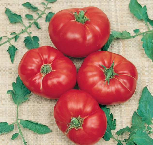 Box Car Willie Tomato Seeds — Seeds 'n Such