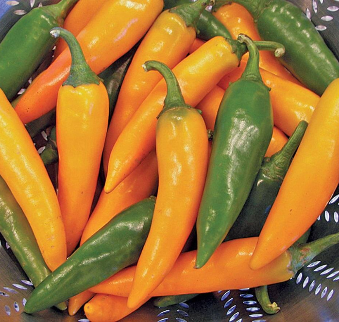 Bulk: Bulgarian Carrot Chile Pepper Seeds