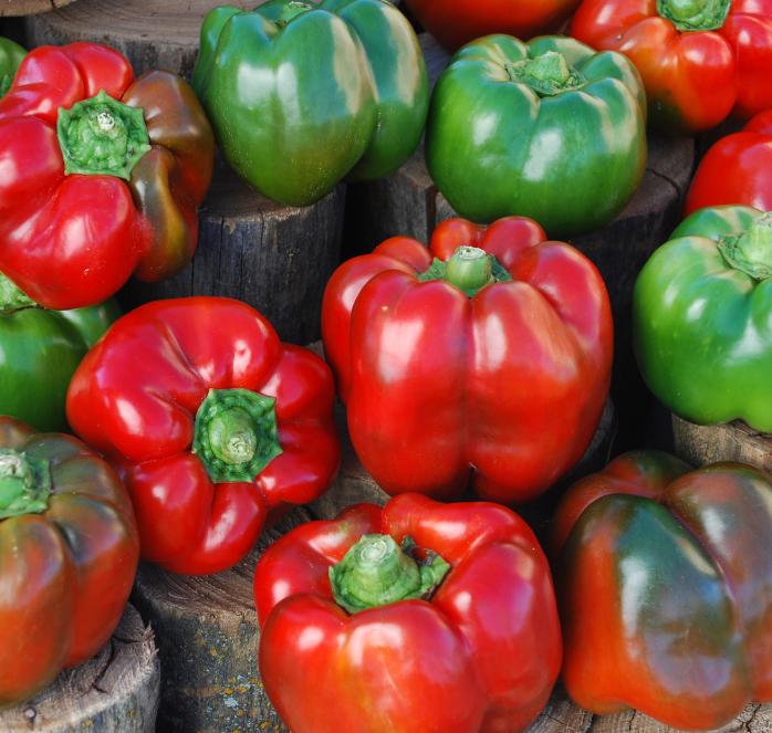 Seeds 'n Such Bull Nose Bell Pepper Seeds