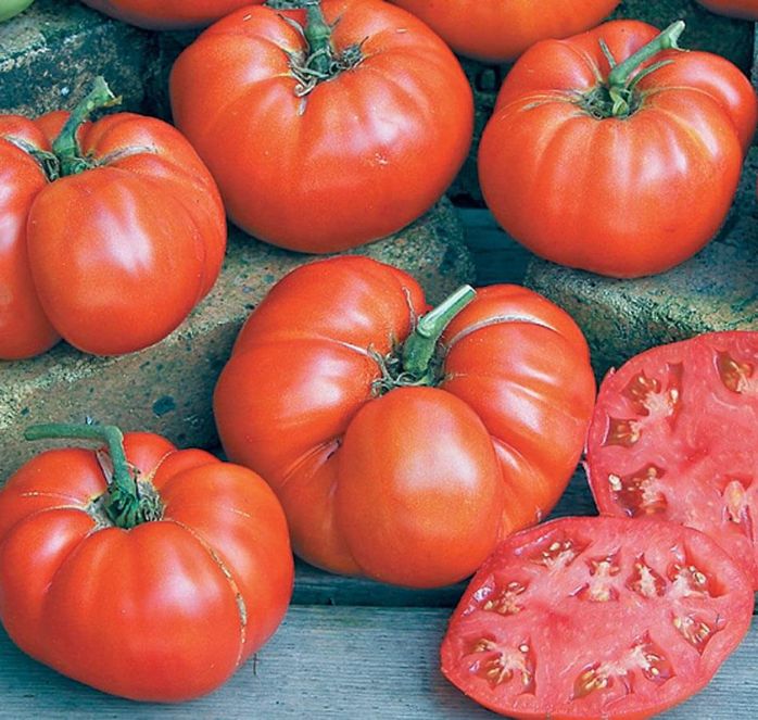 Beefsteak or Red Ponderosa Tomato Seeds