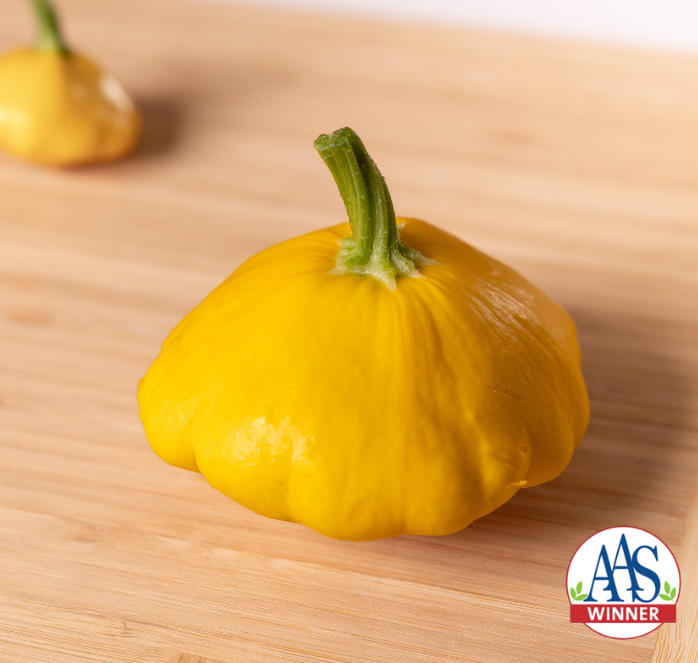 Bulk: Sunburst Hybrid Summer Squash Seeds