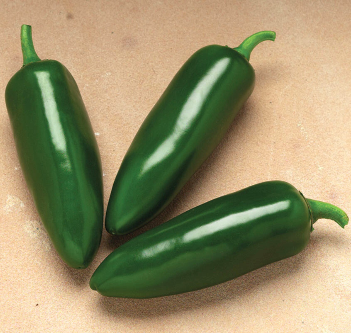 Bulk: Jalafuego Hybrid Pepper Seeds