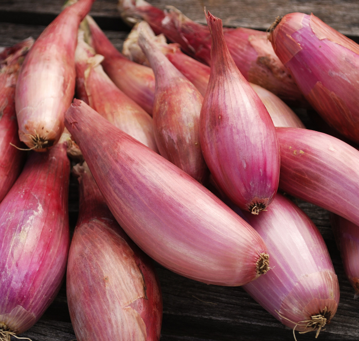 Seeds 'n Such Zebrune Shallot Seeds