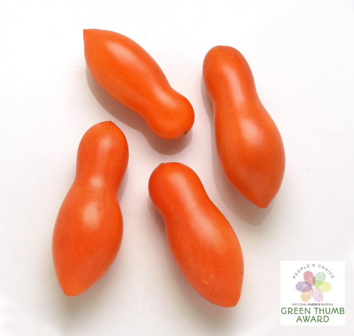 Bulk: Sun Dipper Hybrid Tomato Seeds