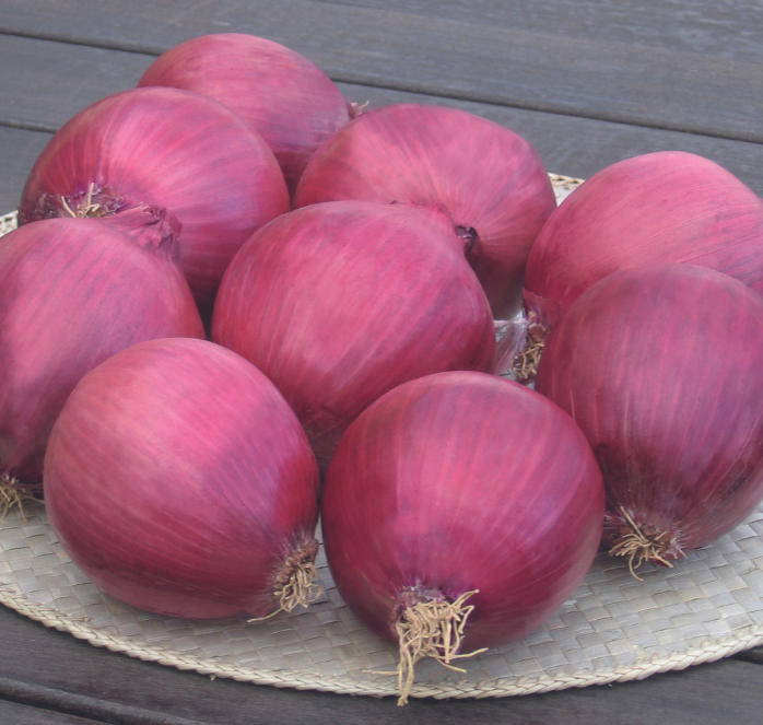 Bulk: Red Wing Hybrid Onion Seeds