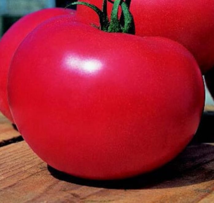 Momotaro or Tough Boy Hybrid Tomato Seeds