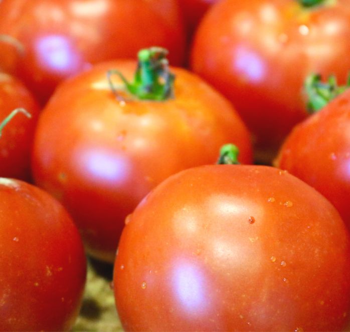 Burpee's Big Boy Hybrid Tomato Seeds