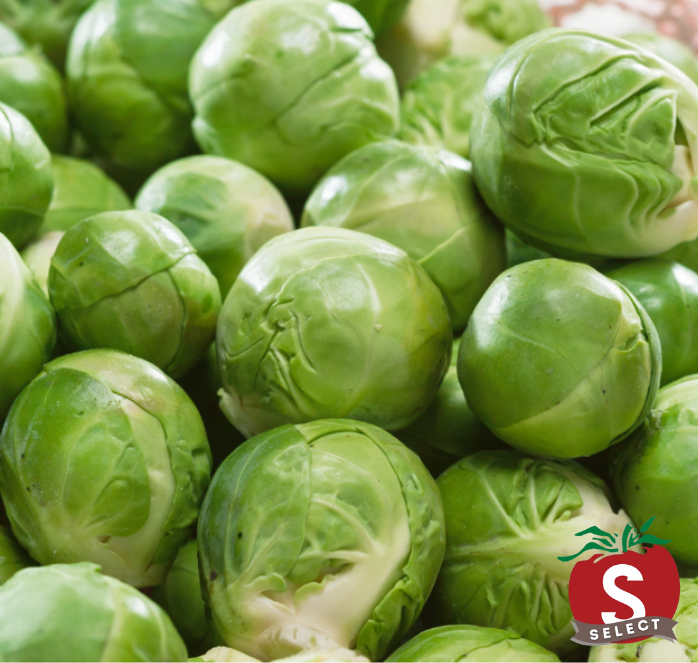 Bulk: Catskill Brussels Sprouts Seeds