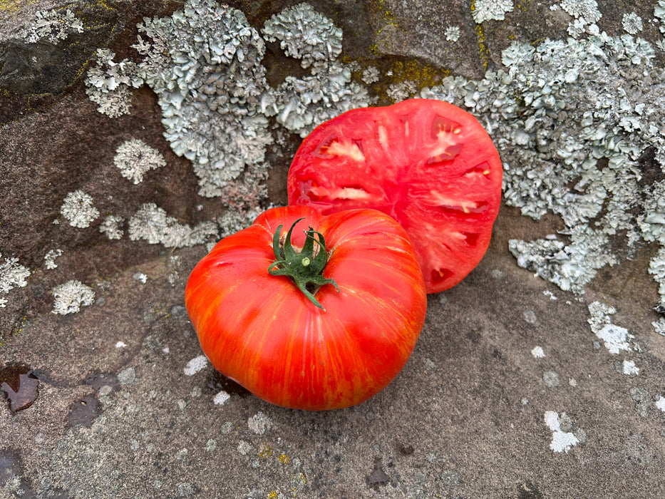 Bulk: Beefy Red Tomato Seeds