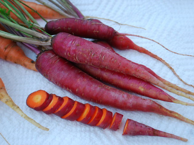 Bulk: Dragon Carrot Seeds