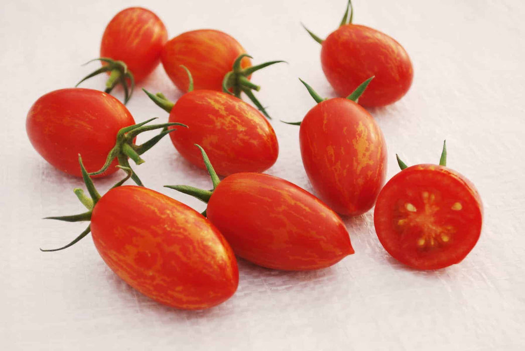 Red Torch Hybrid Tomato Seeds
