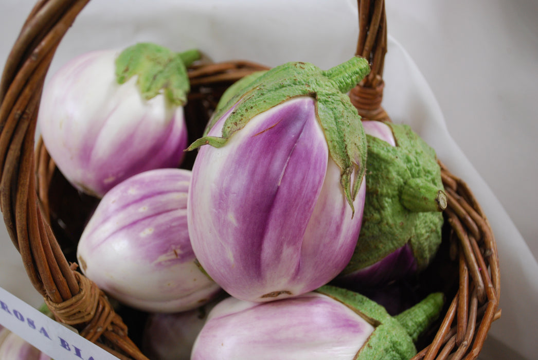 Bulk: Rosa Bianca Eggplant Seeds