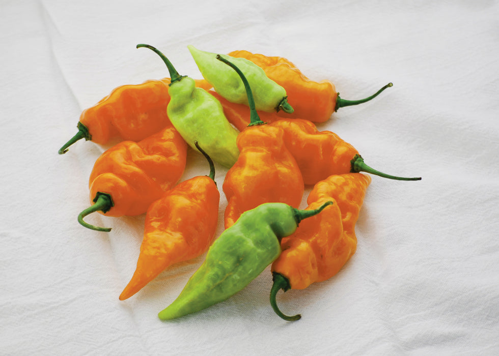 Bulk: Habanada Pepper Seeds