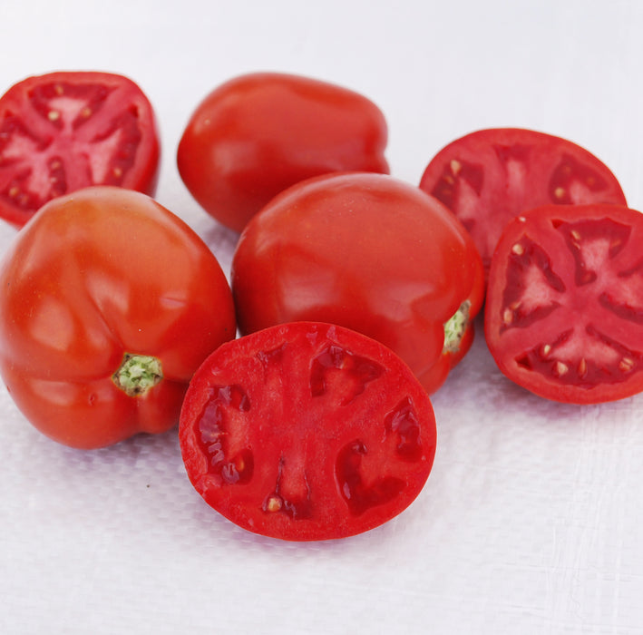 Bulk: Saucy Lady™ Tomato Seeds