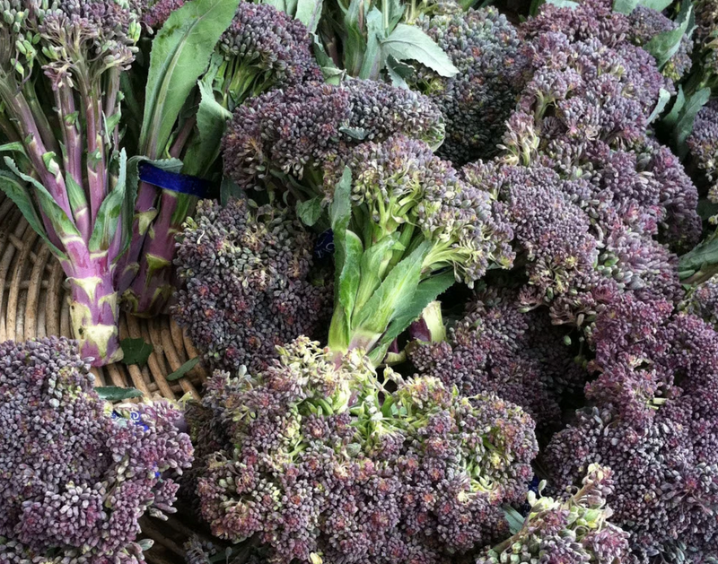 Early Purple Sprouting Broccoli Seeds