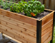 18" x 48" Cedar Raised Garden Bed – 30" Tall