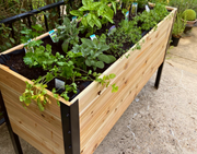 18" x 48" Cedar Raised Garden Bed – 30" Tall