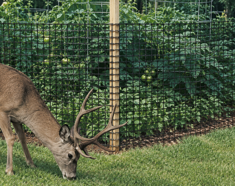 Deer-X Netting