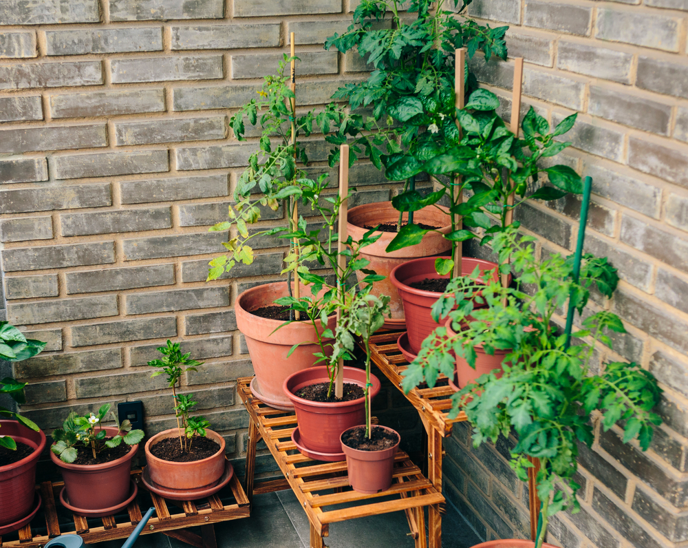 Container-Friendly