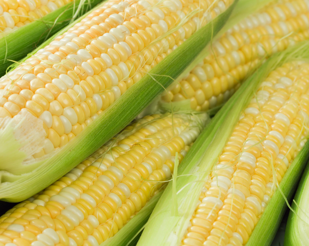 Corn