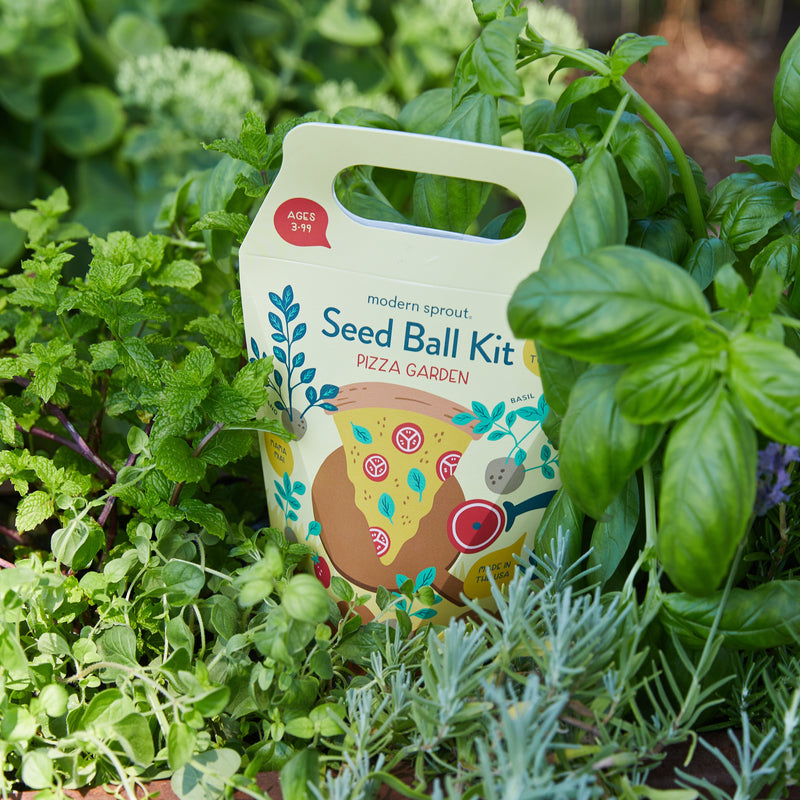 seed ball kit wildflower garden Seed Ball Kits — Seeds 'n Such