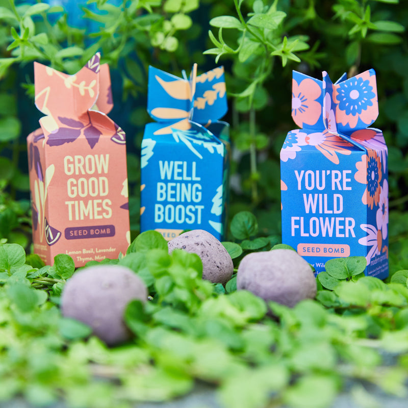 seed bomb planting Seed Bomb