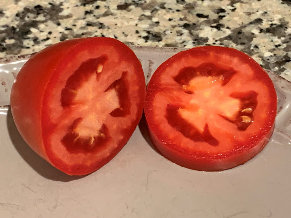 Zenzei Hybrid Tomato Seeds