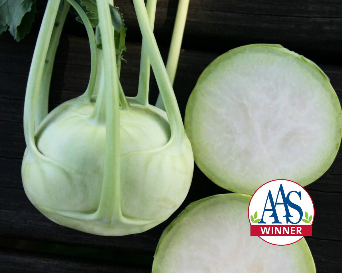 Konan Hybrid Kohlrabi Seeds