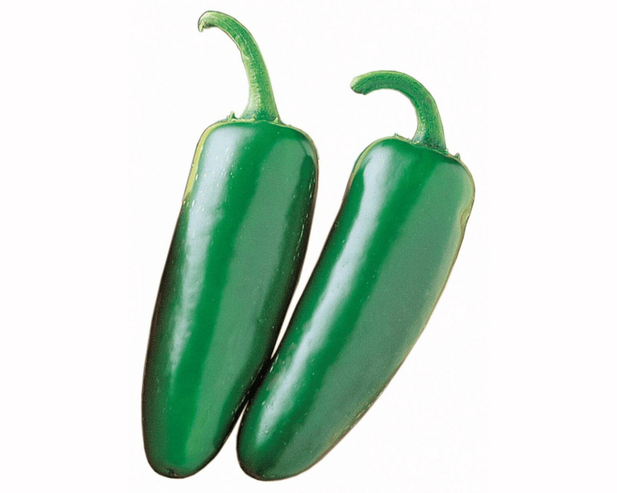 Mucho Nacho Hybrid Jalapeño Pepper Seeds (Treated)