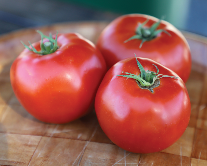 Bulk: Mountain Fresh Plus Hybrid Tomato Seeds
