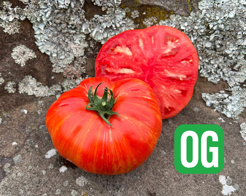 Beefy Red Tomato Seeds