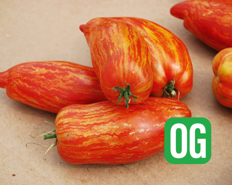 Speckled Roman Organic Tomato Seeds