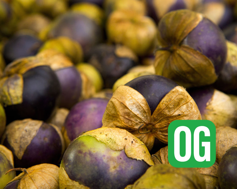 Bulk: Purple Tomatillo Seeds