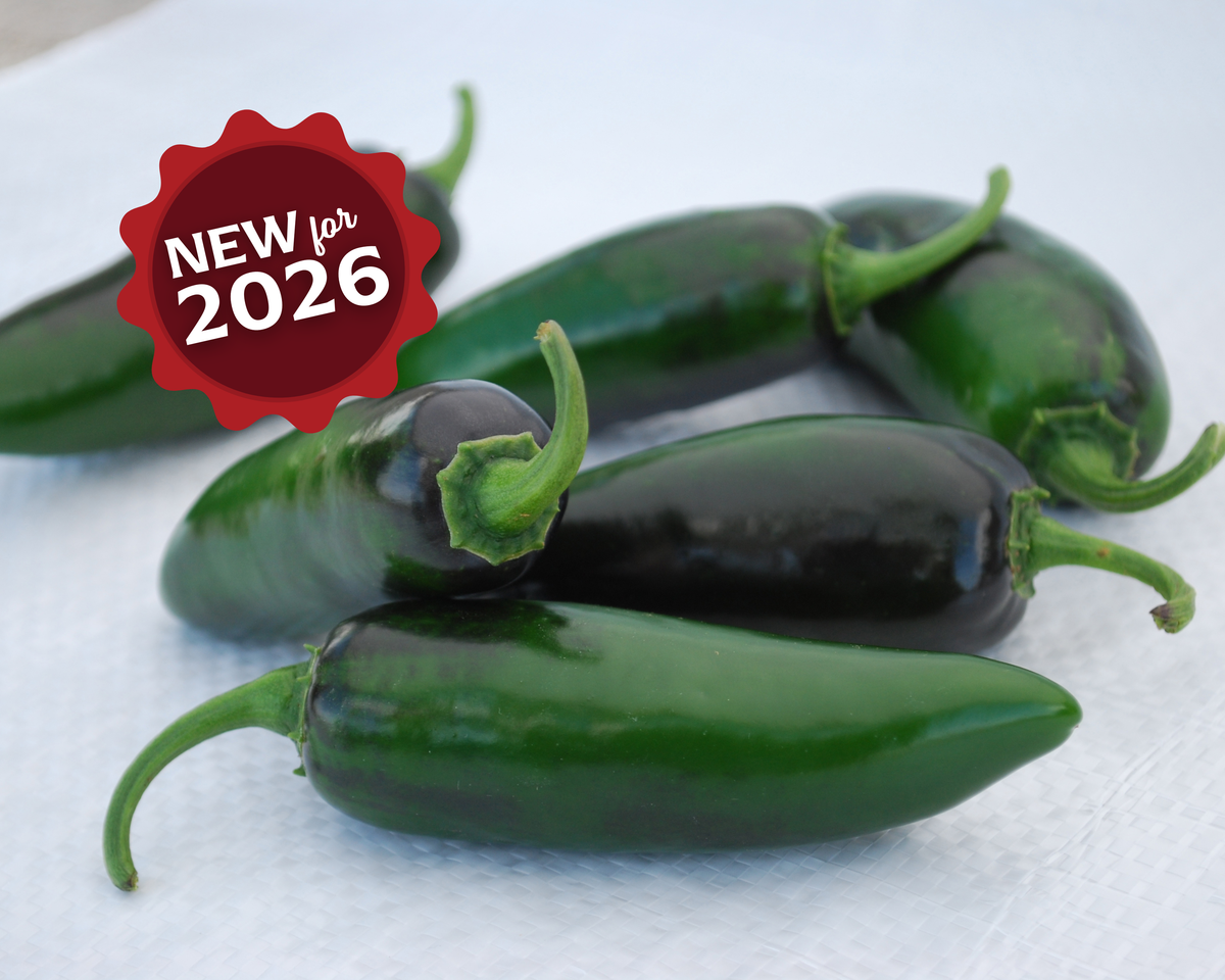 Craig's Grande Pepper Seeds — Seeds 'n Such