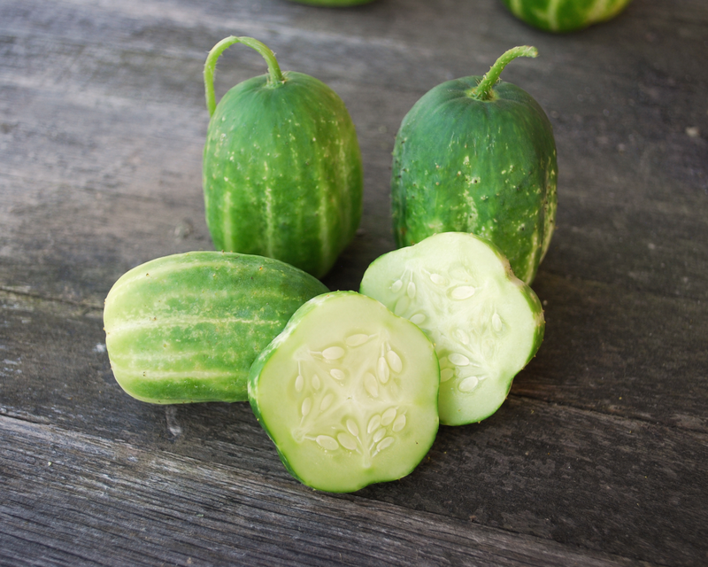 Bulk: Richmond Green Apple Cucumber Seeds