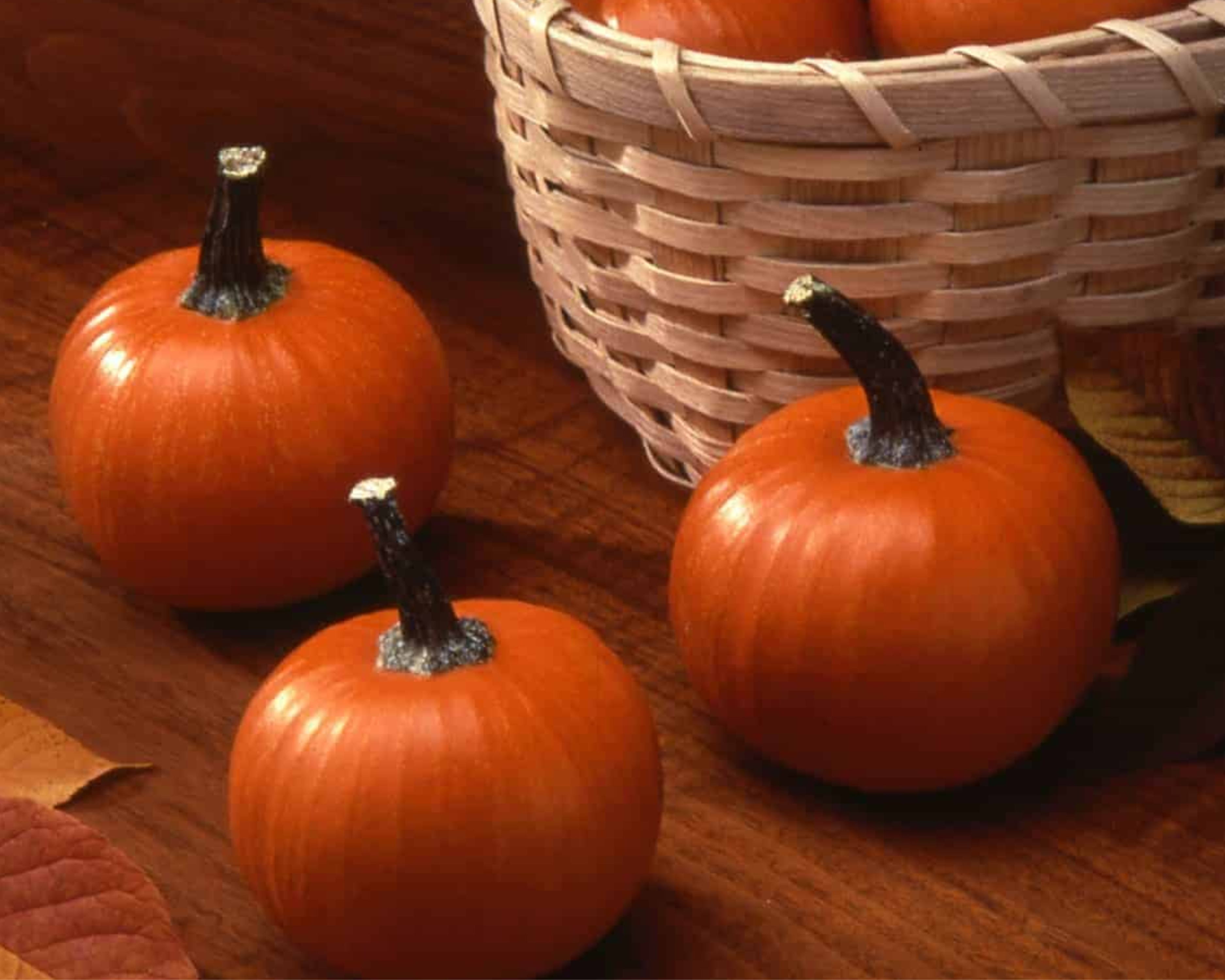 Seeds 'n Such Wee-Be-Little Pumpkin Seeds