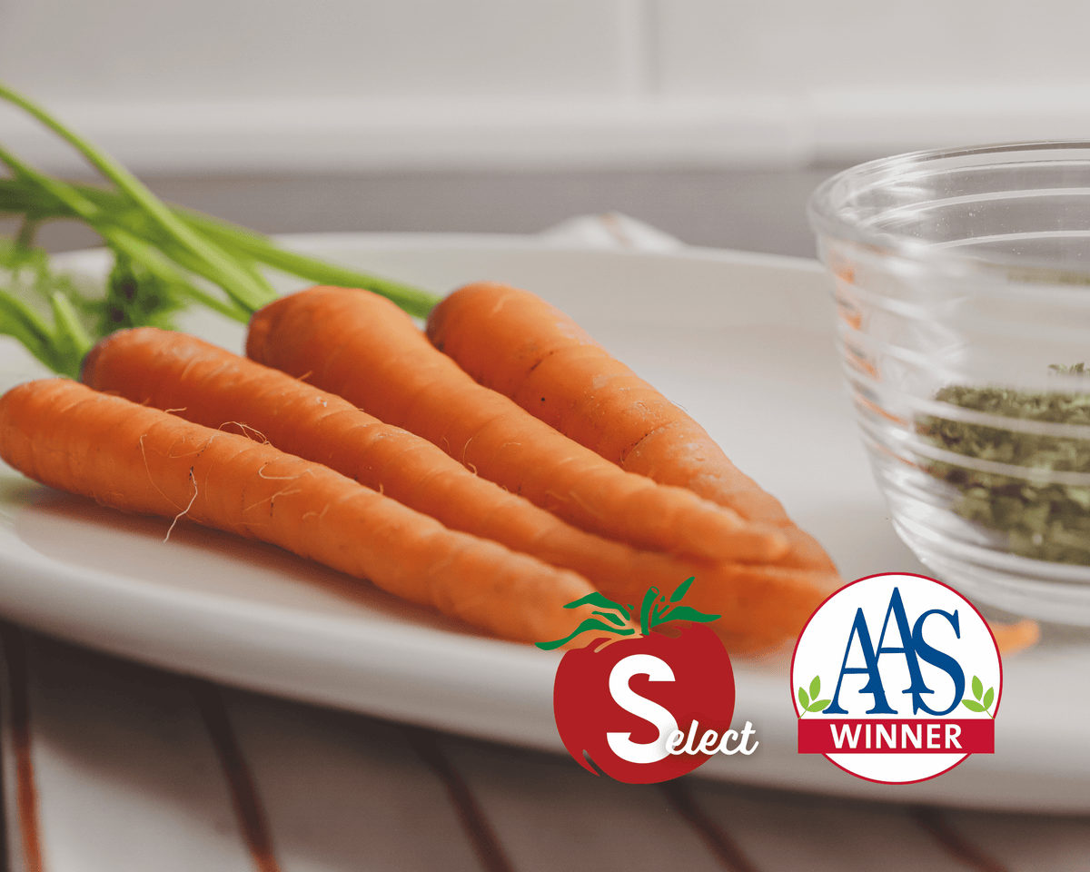 Tendersweet Heirloom Carrot Seeds