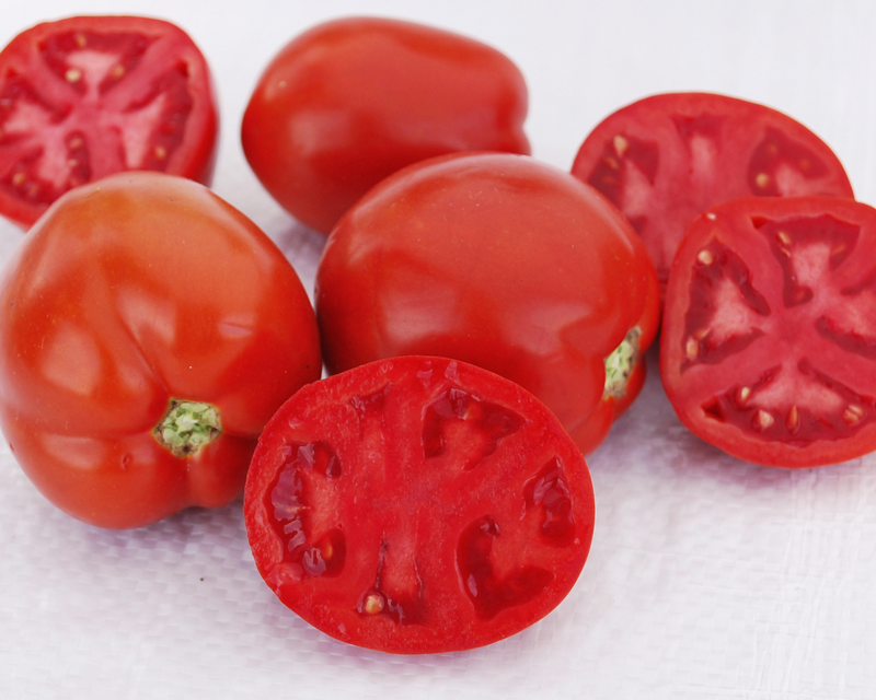 Saucy Lady™ Tomato Seeds