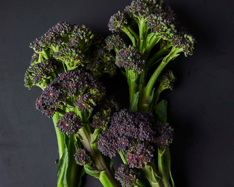 broccoli seeds on plant Burgundy Hybrid Broccoli Seeds