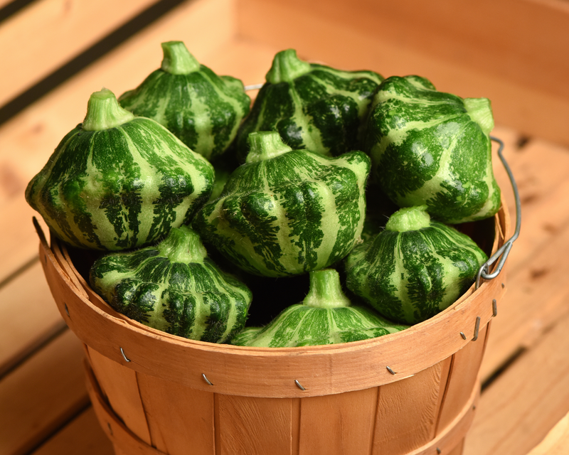 Bulk: Green Lightning Hybrid Squash Seeds