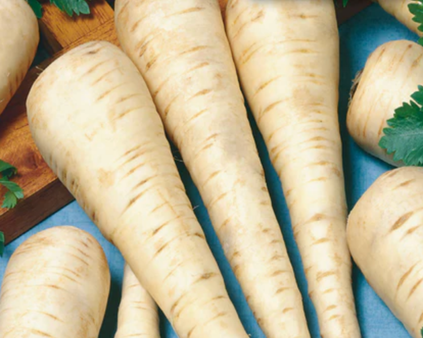 Parsnips