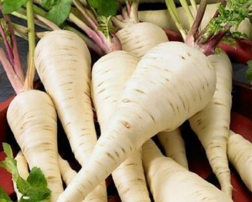harris garden seeds Harris Early Model Parsnip Seeds