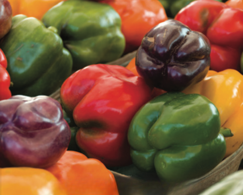 Bulk: Sweet Bell Rainbow Mix Pepper Seeds