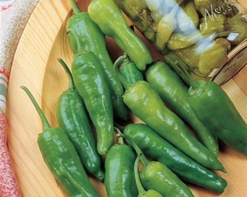 Bulk: Golden Greek Pepperoncini Pepper Seeds